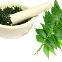 Hojas de Neem en Polvo organico  BIO  Azadirachta indica  Origen India  Neem ayurvedico (100 gr) Samskara - details 0