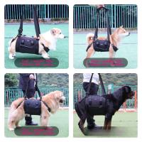 Silla Portátil Para Perro Soporte De Piernas Traseras Y Cadera Para Ancianos Y Perros Llorosos Ayuda En La Rehabilitación Y Levantamiento - details 4
