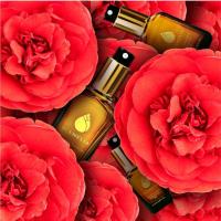 Aceite de camelia puro de Acemelia- Calidad Máxima - Extraído en frío en Galicia - 30ml - Hidrata, nutre y repara la piel del rostro y del cuerpo - details 0