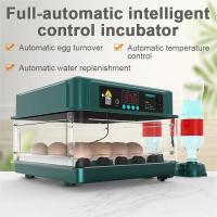 Incubadora Automática de Huevos - Control de Temperatura y Humedad - details 5