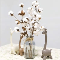 Rama De Flores Secas Blancas Artificial Para Decoración De Bodas Y Fiestas Eucalipto Y Algodón Decoración De Hogar Sin Químicos - details 8