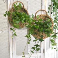 Cesta De Rotura Colgante Para Pared Hecha a Mano Con Vaso De Rattan Decoración De Jardín Y Balcón De Casa Maceta De Flores De Hilo Tejido - details 1
