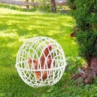 Jaula De Pato De Plástico Para Gallo Y Hamster Juego De 3 Piezas Jaula Sférica De Seguridad Para Cría De Pollos Alimentación Libre En Campo - details 2