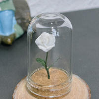 Cubierta Protectora De Vidrio Para Miniatura De Rosa 1PC Escala Modelo Miniatura Ornamentos Simulación Decoración Para El Hogar Y Artesanías - details 8