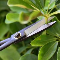Tijeras De Bonsái Para Principiantes Con Mango Largo Herramientas De Jardinería Para Cortar Ramas Y Podar Plantas 20cm - details 4