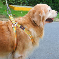 Cable De Atadura Para Perros 4.6m/9m/15m Línea De Paseo Para Jardín Con Clip De Alta Calidad Para Perros Menores De 250 Lbs - details 2