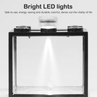 Acuario Mini Para Peces Y Reptiles Con Luz LED Caja Pila De Acuarios Cilíndricos Decoración De Paisaje De Algas Para El Hogar Y La Oficina - details 5