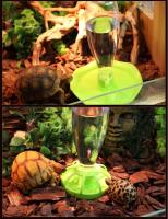 Dispensador De Agua Para Reptiles Alimento Tazón De Alimentación Para Lápidos Forma Redonda Botella De Agua Dispensador De Alimentación Para Reptiles - details 6