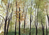 Cuadro "LUZ EN TRAMAS" Acuarela impreso en lienzo Alta Calidad Bosque hojas verdes otoñal luz natural arboles tonos tierra Arte Contemporáneo Natural moderno escandinavo botánico rústico chic otoñal vintage Salón Casa Rural Comedor Ref ANA DURAN A 082 - details 0