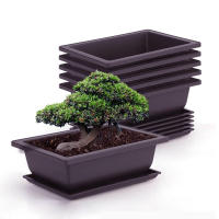 Maceta De Plástico Para Flor Square Bonsái Juego De Macetas De Balcón Basin De Jardinería 1PC - details 1
