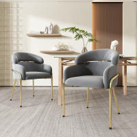Juego de 2 Sillas de Salón Terciopelo Lujoso y Ligeras | Cuatro Pata de Metal Resistentes | Estilo Moderno para Sala de Estar, Dormitorio y Espacios de Ocio - details 1