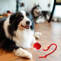 Juguete Inteligente Para Gatos Y Perros Bola Rodante Automática Interactiva 360° Para Mascotas Internas Mate Ball De Juego - details 5