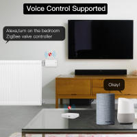 MOES Gateway Inteligente Multimodo Nuevo Compatible Con Tuya Control Por Voz Con Alexa Y Google Home ZigBee Bluetooth Mesh - details 9