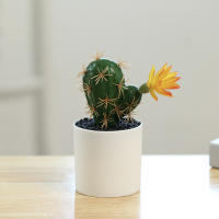 Cactus Artificial Con Flores Pequeño Plantas En Maceta De Plástico Para Decoración De Escritorio Hogar Y Habitaciones Estilo BONSAI - details 3