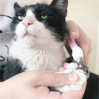 Tijeras De Uñas Profesionales Para Perros Y Gatos En Acero Inoxidable De Doble Color Ahorrador De Esfuerzo Para Belleza Y Limpieza - details 1