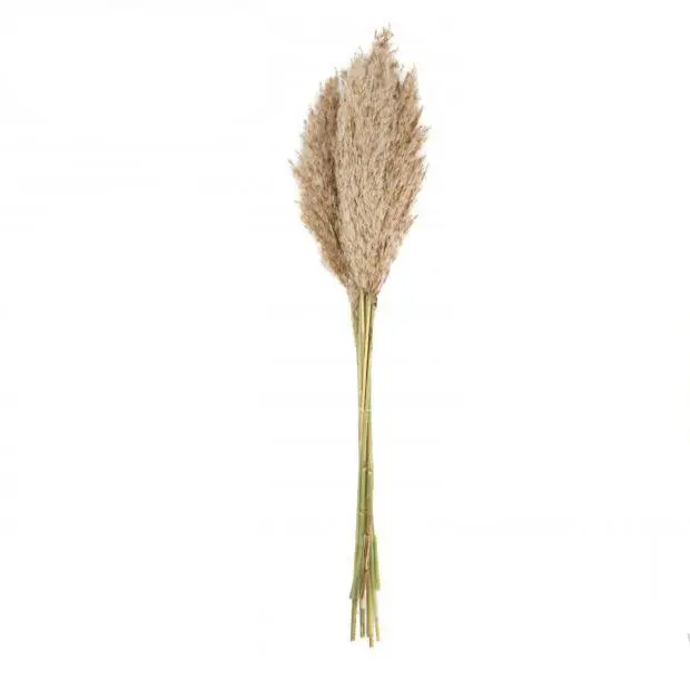 Factory Cuadros Cuadros Decorativos Pampa Natural 75cm (10 Piezas) - Estilo Natural - 1