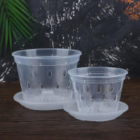 Maceta De Flor Transparente Con Agujeros Para Jardín Y Orquideas Accesorios De Maceta De Plástico Moderno Con Drenaje - details 16