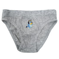 Pack 3 Slip de Niño Bluey, Ropa Interior Niños de 2 a 6 años Bluey y Bingo, Calzoncillos Infantiles 100% Algodón, Regalo Cumpleaños, Navidad, Reyes - details 1