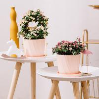 Maceta Creativa Para Suculentas Y Plantas Verdes Decoración Para Balcones Y Jardines Resina Estilo Clásico Para Interiores - details 7