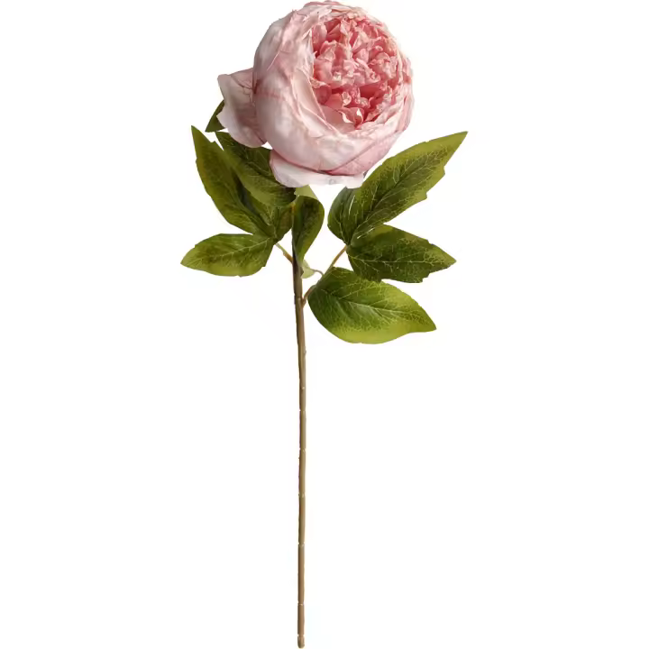 Poenia Arte Floral - Vara de Peonia Artificial 55cm 3pcs - Decoración Floral Realista - 1