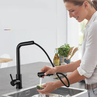 Grifo negro extraíble para fregadero de cocina, mezclador de agua fría y caliente de acero inoxidable, boquilla de pulverización, 2 modos, Flexible - details 0