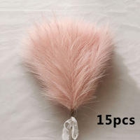 15pcs Bouquet De Pampas Artificial Para Decoración De Casamiento Y Fiestas DIY Flores De Planta Falsa Para Vaso Decorativo - details 10