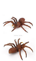 Figura De Acción Simulación De Araña Tarántula Negra Para Juegos De Halloween Juguetes Educativos Divertidos Y Terroríficos Para Adultos Y Niños - details 14