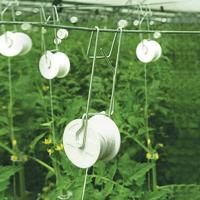 Juego De 6 Soportes Para Plantas De Jardín Con 15m De Cuerda De Apoyo Para Tomates Y Flores Herramienta Para Valla De Jardín - details 2