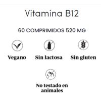 Vitamina B12 500g Ebers – Complemento Vegano, Sin Gluten ni Lactosa - details 1