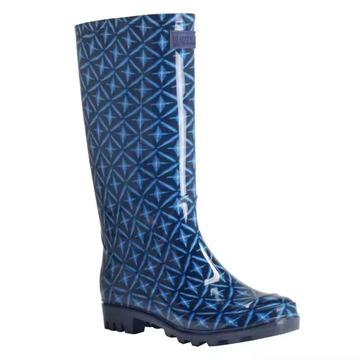 Calzado mujer Botas y botines Regatta Botas Wenlock Wellingtons Azul - 1
