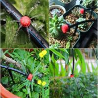 Sistema De Riego Por Drip Automático Portátil 20M Con Reguladores Ajustables Y Riegos Por Misting Kit De Riego Para Jardín Con Mangueira - details 4