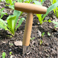 Dibber De Jardín Con Manija T Para Dispensador De Semillas Herramienta De Plantación Para Pequeñas Semillas - details 6