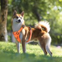 Almohadillada Ajustable Para Perros Con Manija De Control Fácil Previene La Ahogamiento Y El Arrastre Harnés Cómodo Para Mascotas De Todas Las Etapas - details 7