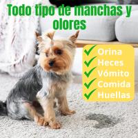 Limpiador Enzimático de Manchas y Olores para Mascotas - 5L | Elimina Orina, Heces, Comida y Huellas | Evita Marcaje Repetido | Para Suelos, Alfombras y Tapicerías - details 3