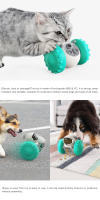 Juguete Interactivo Para Perros Y Gatos Alimento Lento Dispensador Entrenamiento Supplies Juguetes De Agua Para Mascotas - details 4