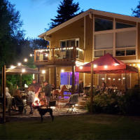 Luces De Cadena Solar LED IP44 Impermeables Para Decoración De Navidad Al Aire Libre Luz De Bulbo Para Patio Gazebo Porche Camping - details 8