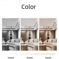 Nueva Lámpara De Techo LED Magnética Con Control Remoto Dimmer 48V Riel De Iluminación Sin Fuente Principal Proyector Moderno - details 3