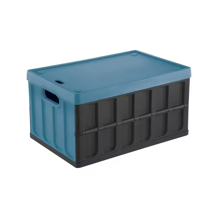 Caja multiusos Tontarelli 46L azul y negro - 1