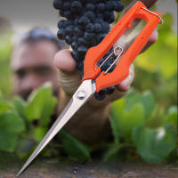 Tijeras De Uva Profesionales Acero Inoxidable Herramienta De Jardín Para Podar Y Recolección Con Cerradura Para Vivero Y Bonsái - details 4