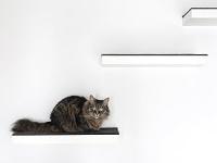NQT Estantería para Pared - Estante Pared Baldas Pared con Fijación Invisible - Balda Flotante de Madera Decorativa 23,5 60 80 100 120 x 23,5 x 4cm (Blanco Gris Haya Roble Negro) - details 3