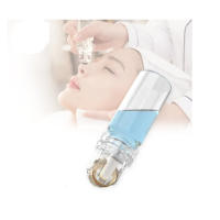 Herramienta De Masaje Para El Rostro De 64 Pines Esencial Para El Cuidado De La Piel Viaje De Verano Herramienta De Cuidado De La Piel No Eléctrica - details 1