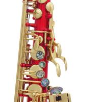 9 Pcs/set Accesorios Para Saxofón Botones De Dedo De Madera Abulón Natural Para Alto Tenor Soprano Instrumento Musical - details 0