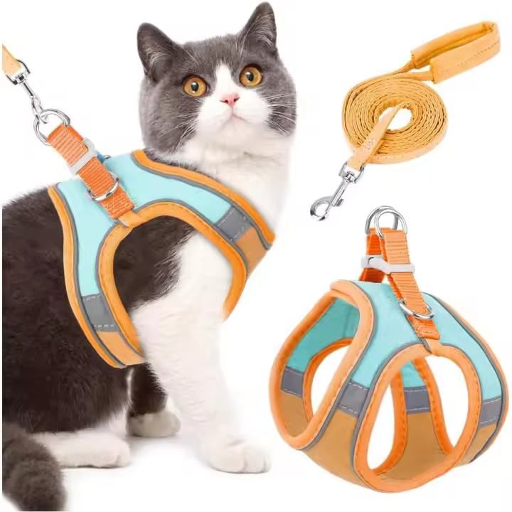 Arnés y Correa para Gatos, ajustable, elegant, Resisto, de ante sintético, a prueba de fugas, Con Tira reflectante (Azul y Naranja, Talla S) - 1