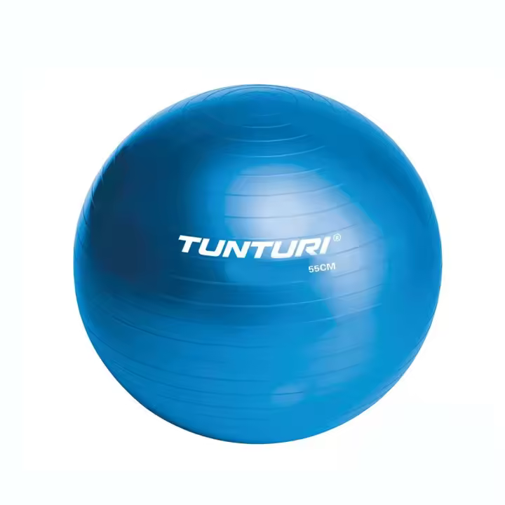 Material fitness Fitballs Tunturi Fitball Gym Ball Azul - 1
