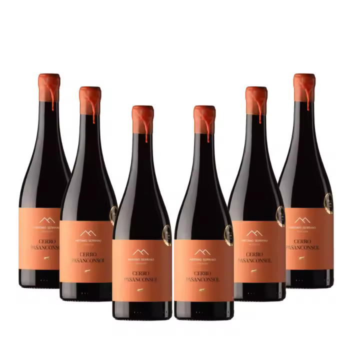 Vino de Pueblo Pasanconsol, Antonio Serrano Viticultor, caja de 6ud - envejecimiento 5 meses barrica - 1