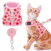 Juego De Correa Y Arnes Para Gato Seguro Ajustable Chaleco Para Gato Joven En Malla Transpirable Rosa Fácil Control Para Caminar Perro - details 1