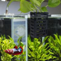 Estante Duradero Para Plantas De Hidrocultivo En Acuario Soporte Para Plantas Terrestres Y Decoración De Basin Para Acuarios - details 6