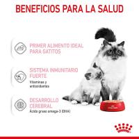 12 x 195 g - Royal Canin Mother & Babycat Mousse   Alimento Completo para Gatos  Especial para gatas Madres y Sus Cachorros  para reforzar Las defensas del organismo - details 3