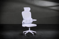 Mars Gaming MGC-ERGOPRO, Silla Ergonómica Profesional, Soporte Lumbar Activo, Malla Transpirable, Altura Ajustable 120-130cm, Reposabrazos Abatibles, Reposacabezas Regulable, Silla de Oficina, Silla de Escritorio Negra o Gris - details 2