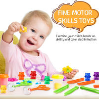Osos Contables Con Copas De Alineación Para Niños Preescolares Juguete Educativo De Reconocimiento De Colores Y Desarrollo De Habilidades Motoras Finas Para Niños Pequeños - details 5